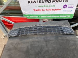 Mini Countryman R60 2010-2016 Front Bumper Grille Lower